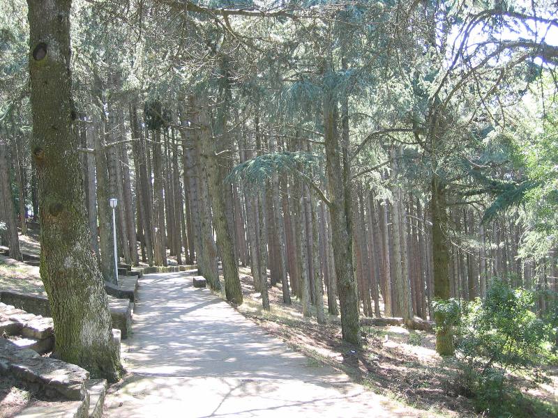 sardegna 2008 147